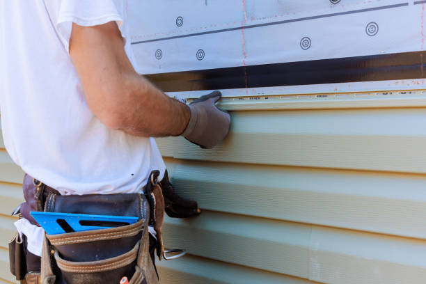 Best Steel Siding Installation  in Lake Holiday, VA